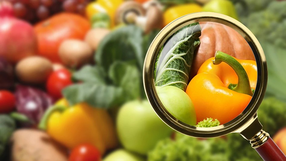 Elevate Your Food Business: The Critical Role of HACCP Training in Ire - Abrasive Wheels Training Ireland